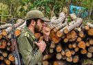 کاهش قاچاق چوب در آذربایجان‌شرقی