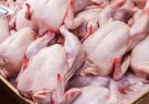 طرح ارتقای کیفیت گوشت مرغ در آذربایجان شرقی آغاز شد