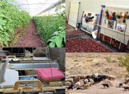 انتخاب ۳ روستای هشترود برای اجرای طرح توسعه و اشتغال پایدار