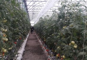 ۱۴۱۴ میلیارد ریال طرح سرمایه‌گذاری در ارس افتتاح و کلنگ زنی شد