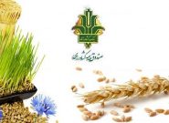 پرداخت اقساطی حق بیمه‌ محصولات کشاورزی میسر شد