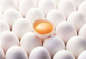 ۲ واحد غیرمجاز بسته‌بندی تخم مرغ در مراغه  پلمب شد
