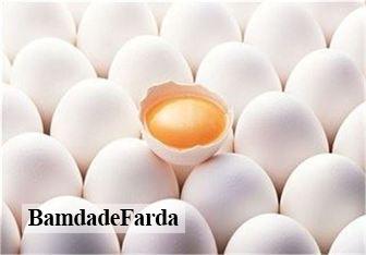 ۲ واحد غیرمجاز بسته‌بندی تخم مرغ در مراغه  پلمب شد
