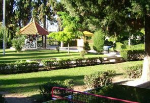 تبریز۵ میلیون درخت کم دارد