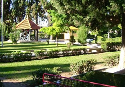 تبریز۵ میلیون درخت کم دارد