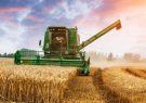 پیش بینی برداشت بیش از ۸۰۰ هزار تن گندم از مزارع آذربایجان‌شرقی