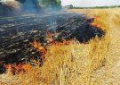 رییس جهادکشاورزی آذربایجان‌شرقی: سوزاندن کاه و کلش در مزارع ممنوع است