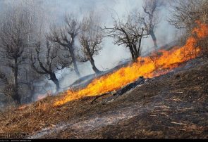 وقوع ۶۰ مورد آتش‌سوزی در جنگل‌ها و مراتع آذربایجان‌شرقی