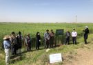۶۰ هزار کشاورز آذربایجان‌شرقی از آموزش‌ مجازی بهره مند شدند