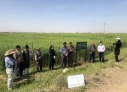 ۶۰ هزار کشاورز آذربایجان‌شرقی از آموزش‌ مجازی بهره مند شدند