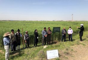 ۶۰ هزار کشاورز آذربایجان‌شرقی از آموزش‌ مجازی بهره مند شدند