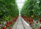 مجتمع گلخانه ای ارس در میان ۱۰ گلخانه برتر دنیا