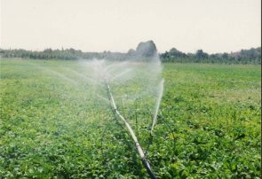 آب مصرفی بخش کشاورزی حوضه دریاچه ۴۰ درصد کاهش یافت