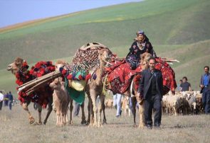 ۲۲ میلیارد تومان تسهیلات به عشایر آذربایجان‌شرقی پرداخت شد
