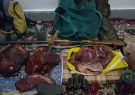 شکارچی غیرمجاز خوک وحشی در پناهگاه حیات وحش کیامکی دستگیر شد