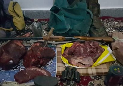 شکارچی غیرمجاز خوک وحشی در پناهگاه حیات وحش کیامکی دستگیر شد