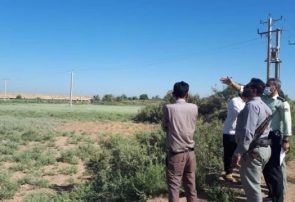 تثبیت مالکیت ۷۶۰ هزار هکتار اراضی ملی در آذربایجان‌شرقی