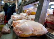 عرضه روزانه ۵۰ تا ۶۰ تن مرغ منجمد در آذربایجان شرقی