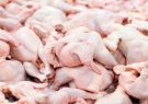 تولید گوشت مرغ «آ مثبت» در آذربایجان شرقی