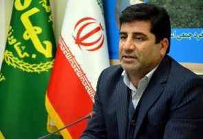 ۹۳ پروژه بخش کشاورزی آذربایجان شرقی با اعتبار ۲۱۲ میلیارد تومان به مناسبت دهه فجر افتتاح می شود