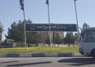 کسب جایزه ماری کوری اتحادیه اروپا توسط استاد دانشگاه مراغه