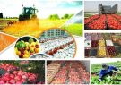 تسهیلات اعطایی به بخش کشاورزی آذربایجان‌شرقی بیش از پنج درصد رشد داشت
