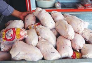 علت گرانی روزافزون گوشت مرغ چیست؟