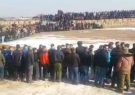 برگزارکنندگان مسابقه “جنگ‌ سگ‌ها” در آذربایجان‌شرقی دستگیر شدند