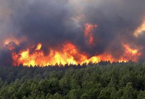 مدیرکل حفاظت محیط زیست آذربایجان شرقی در خصوص آتش سوزی جنگل‌ها هشدار داد