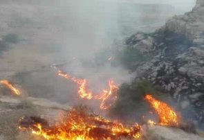 مهار آتش‌سوزی منطقه کیامکی جلفا