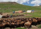 آغاز کوچ ییلاقی عشایر به مراتع سهند در مراغه