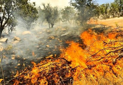 مهار شدن آتش سوزی در منطقه پیرداود شهرستان ورزقان