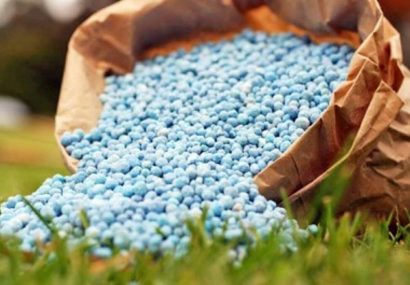 بیش از ۱۷ هزار تن کود بین کشاورزان آذربایجان شرقی توزیع شد