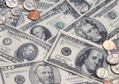 میرتاج‌الدینی:توزیع ارز ۴۲۰۰ تومانی تصمیم نادرستی بود