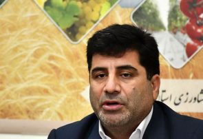راه‌اندازی فروش اینترنتی، تقاضا برای مصرف را کاهش می‌دهد