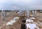 تبریز روز بدون فوتی کرونایی پشت سرگذاشت