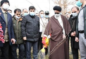 آل هاشم خواستار برخورد قاطع با عاملان قطع درختان شد