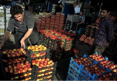 برپایی ۱۳۵ غرفه عرضه میوه شب عید در آذربایجان شرقی