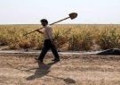 قطعی برق چاه‌های کشاورزی در آذربایجان شرقی؛ با رضایت یا بدون رضایت کشاورزان؟