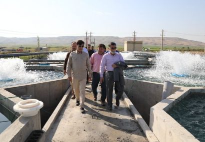 خداآفرین قطب کشاورزی آذربایجان‌شرقی می‌شود