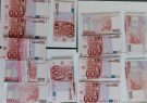 ۱۰ میلیارد ریال یوروی تقلبی از حفاران غیرمجاز در هوراند کشف شد