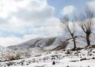 کاهش دما و بارش برف در آذربایجان‌شرقی