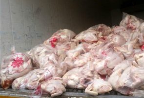 ذخیره سازی گوشت مرغ برای ایام عید نوروز و ماه مبارک رمضان