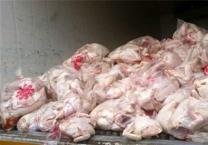 ذخیره سازی گوشت مرغ برای ایام عید نوروز و ماه مبارک رمضان