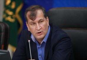 ۵۰ درصد درآمد ارزی بخش کشاورزی متعلق به حوزه باغبانی است
