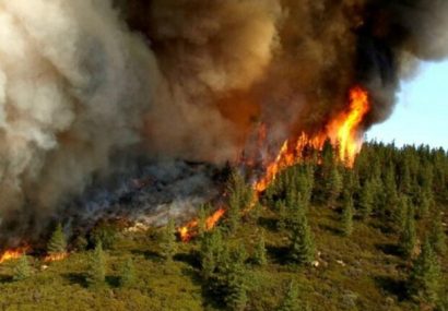 تدابیر لازم برای پیشگیری از آتش سوزی در جنگل‌های ارسباران اتخاذ شد