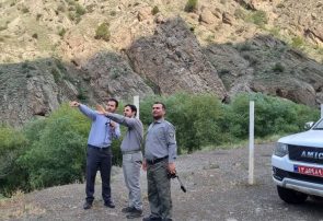 آغاز پایش بیماری‌های حیات وحش زیستگاه ارسباران