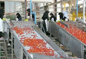 ظرفیت صنایع تبدیلی کشاورزی آذربایجان شرقی افزایش یافت