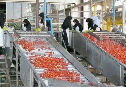 ظرفیت صنایع تبدیلی کشاورزی آذربایجان شرقی افزایش یافت