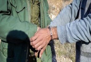 هفت شکارچی غیرمجاز در مراغه دستگیر شدند